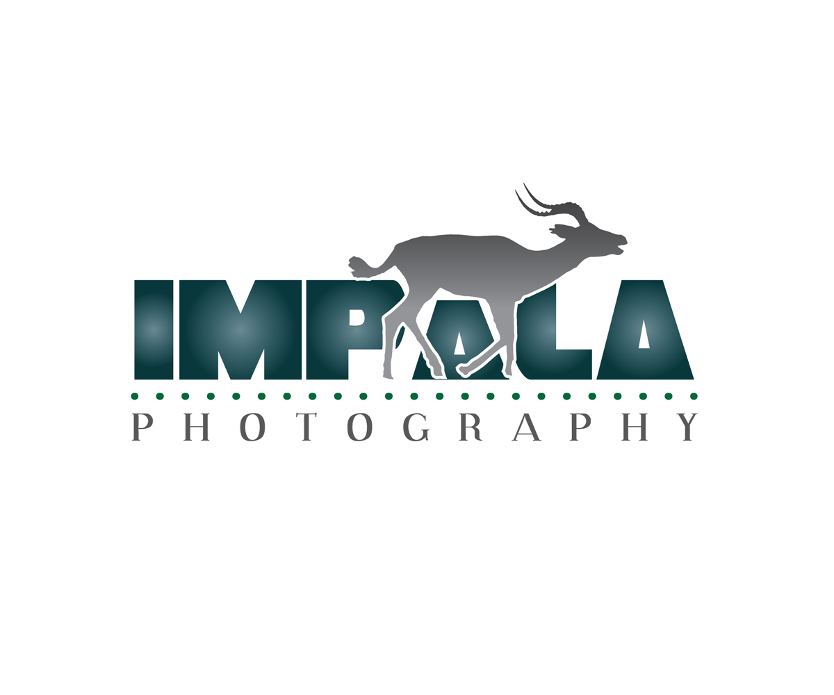 Design de Logo par Anndy pour ce projet | Design #2702481