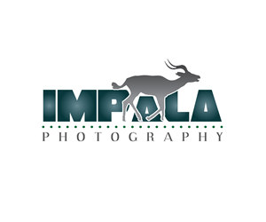 Logo Design by Anndy