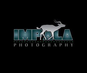 Logo Design by Anndy for this project | Design: #2702486