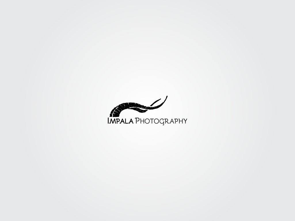 Logo Design by xuxa for this project | Design #2692370