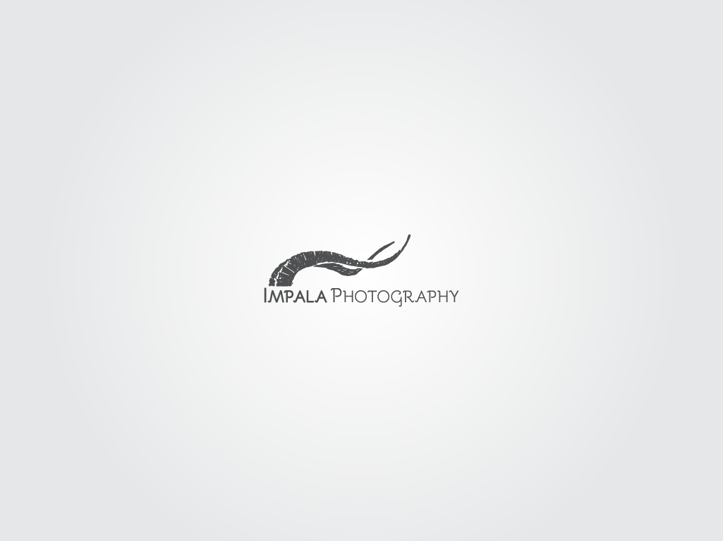 Logo Design by xuxa for this project | Design #2692371