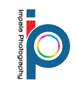 Logo Design by kongchansobin