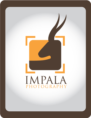 Logo Design by rex 8