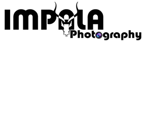 Logo Design by Blaine O'Hare for this project | Design: #2668644