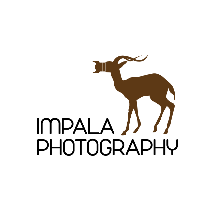 Diseño de Logo por awa™ para este proyecto | Diseño #2670579