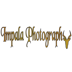 Logo Design by ktgrandy for this project | Design: #2706055