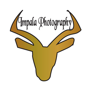 Logo Design by ktgrandy for this project | Design: #2706087