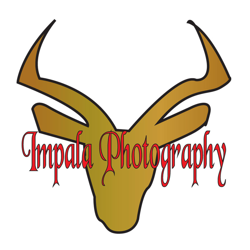 Logo Design by ktgrandy for this project | Design #2706096