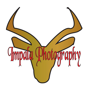 Logo Design by ktgrandy for this project | Design: #2706096