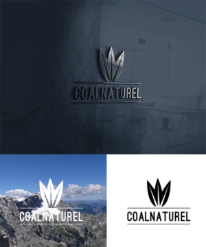 Design de Logo par king solangi pour Coalnaturel | Design : #16622126