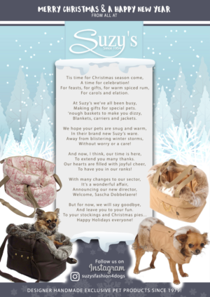 Flyer Design by Sharon