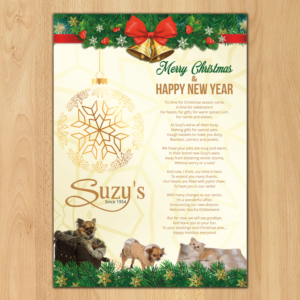 Newyear letter A4 or A5 to be sent to our historic clients and prospects. | Diseño de Flyer por ecorokerz