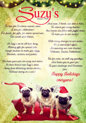 Newyear letter A4 or A5 to be sent to our historic clients and prospects. | Design de Flyer par Marta van Eck