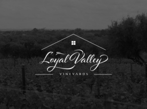 Logo Design by eugenv for this project | Design: #16635561
