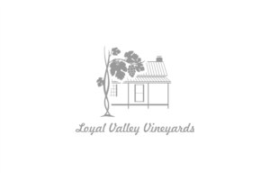Logo Design by NorshenDesign