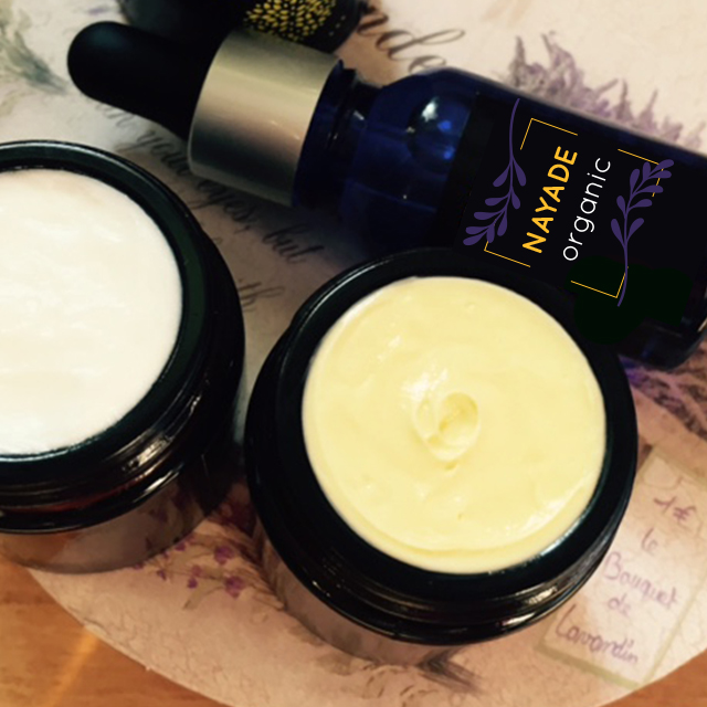 Logo Design by Soniaa for this project | Design #16674417