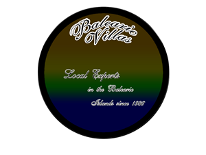 Logo Design by eric88s
