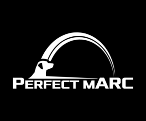 Logo Design by sangeloenriquez for Perfect Marc | Design: #16883178
