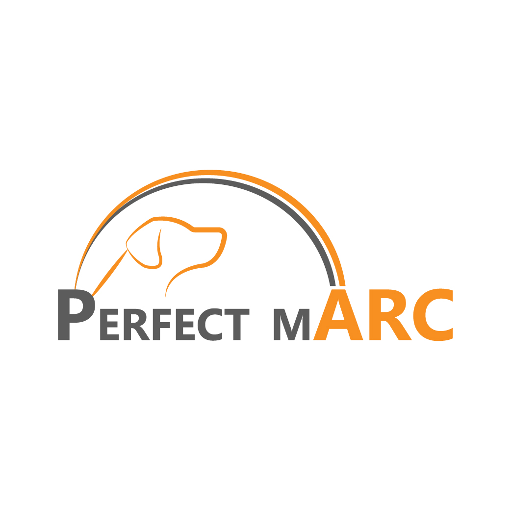 Logo Design by Archaeologo for Perfect Marc | Design #16715145