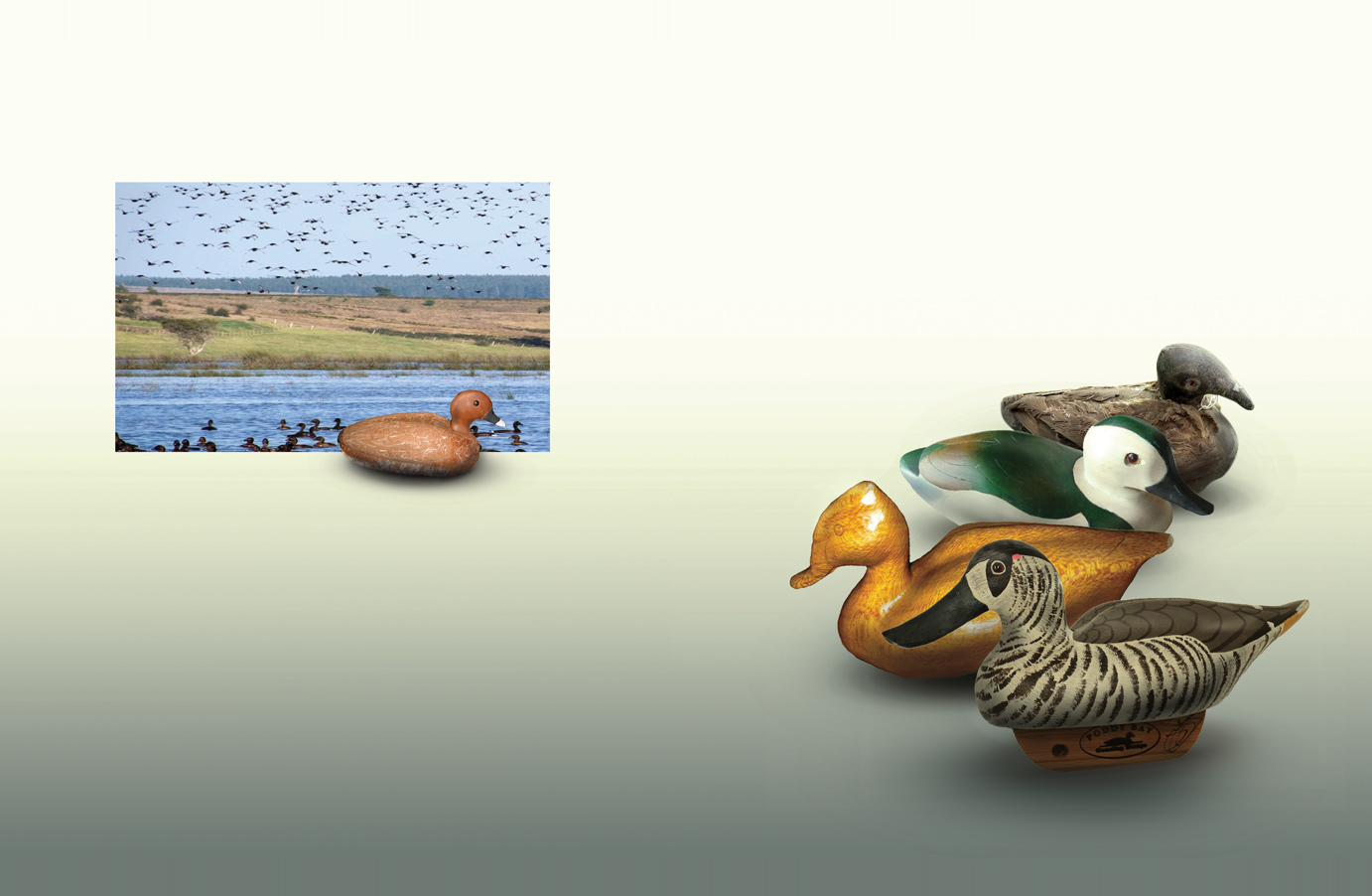 Buchumschlag Design von karincita für Australian Environment International | Design #17118457