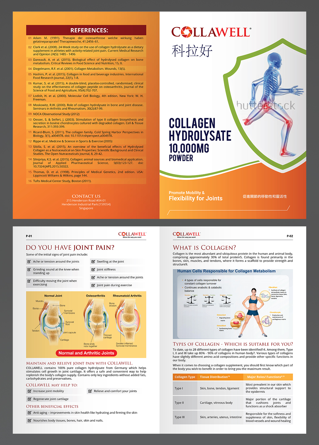 Brochure Design by Titan Solbiz for Nael & Newk Nutra Health Sdn Bhd | Design #16688074