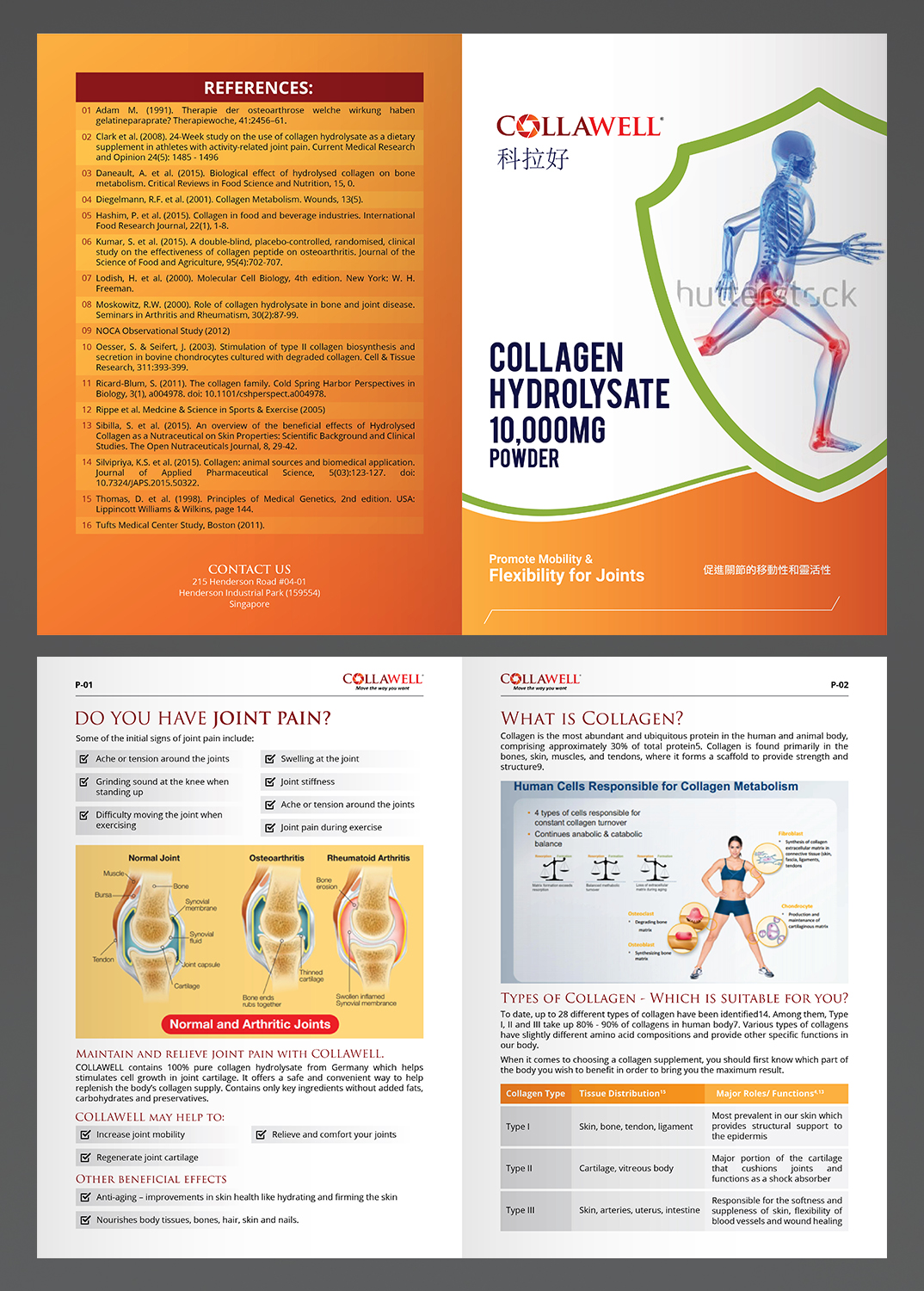 Brochure Design by Titan Solbiz for Nael & Newk Nutra Health Sdn Bhd | Design #16688075