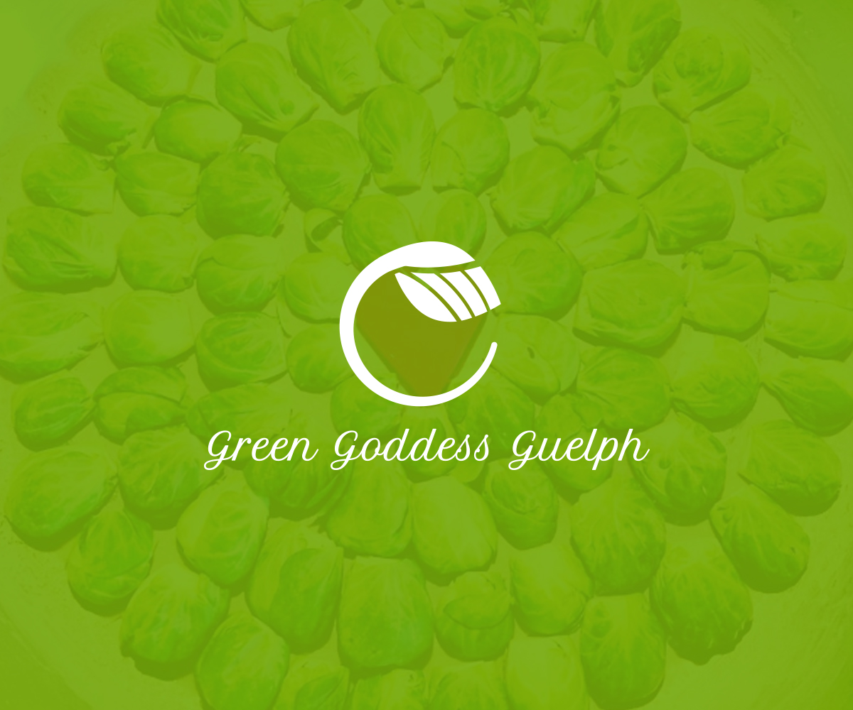 Logo Design by Daniel Caso Design for this project | Design #16662067