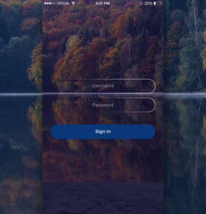 App Design by Formix Houssin