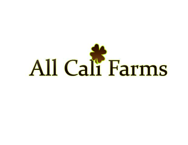 Logo Design by TS computer graphic for this project | Design #16925387