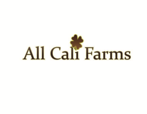 Logo Design by TS computer graphic for this project | Design #16925387