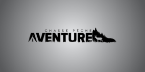 Logo Design by aleeshan