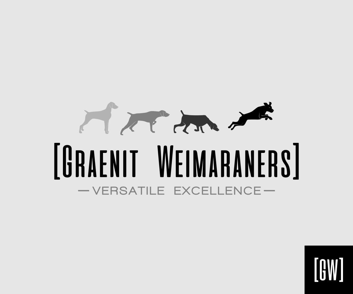 Logo Design by El Ojo creativo for this project | Design #16689142