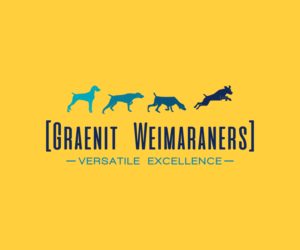 Logo Design by El Ojo creativo for this project | Design: #16702704