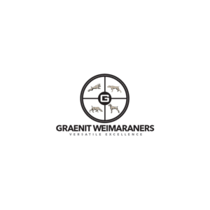 Logo Design by Idwan Design