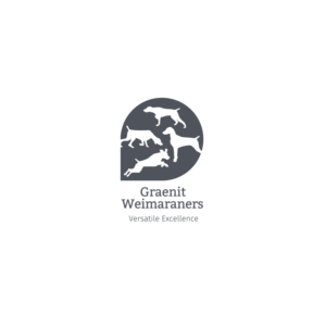 Logo Design by thehummer