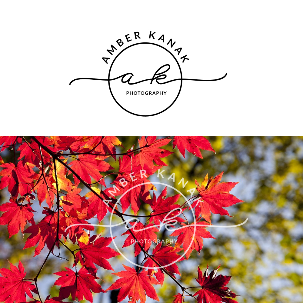 Logo Design by pici_timici for Amber Kanak Photography | Design #16655018
