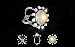 Designer ring artistic portfolio presentation #1 | Design Photoshop par Tantra Art