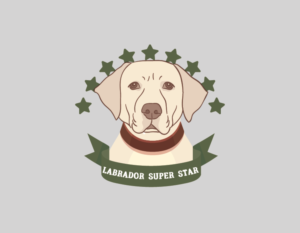 Logo Design by Aguafieta