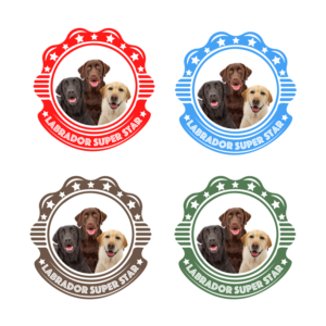 Logo Design by Artur Zherdetskii for Nicolas Piot | Design: #16688802