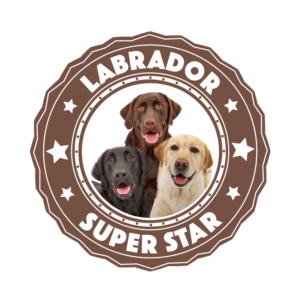 Logo-Design von Artur Zherdetskii für Nicolas Piot | Design #16729165