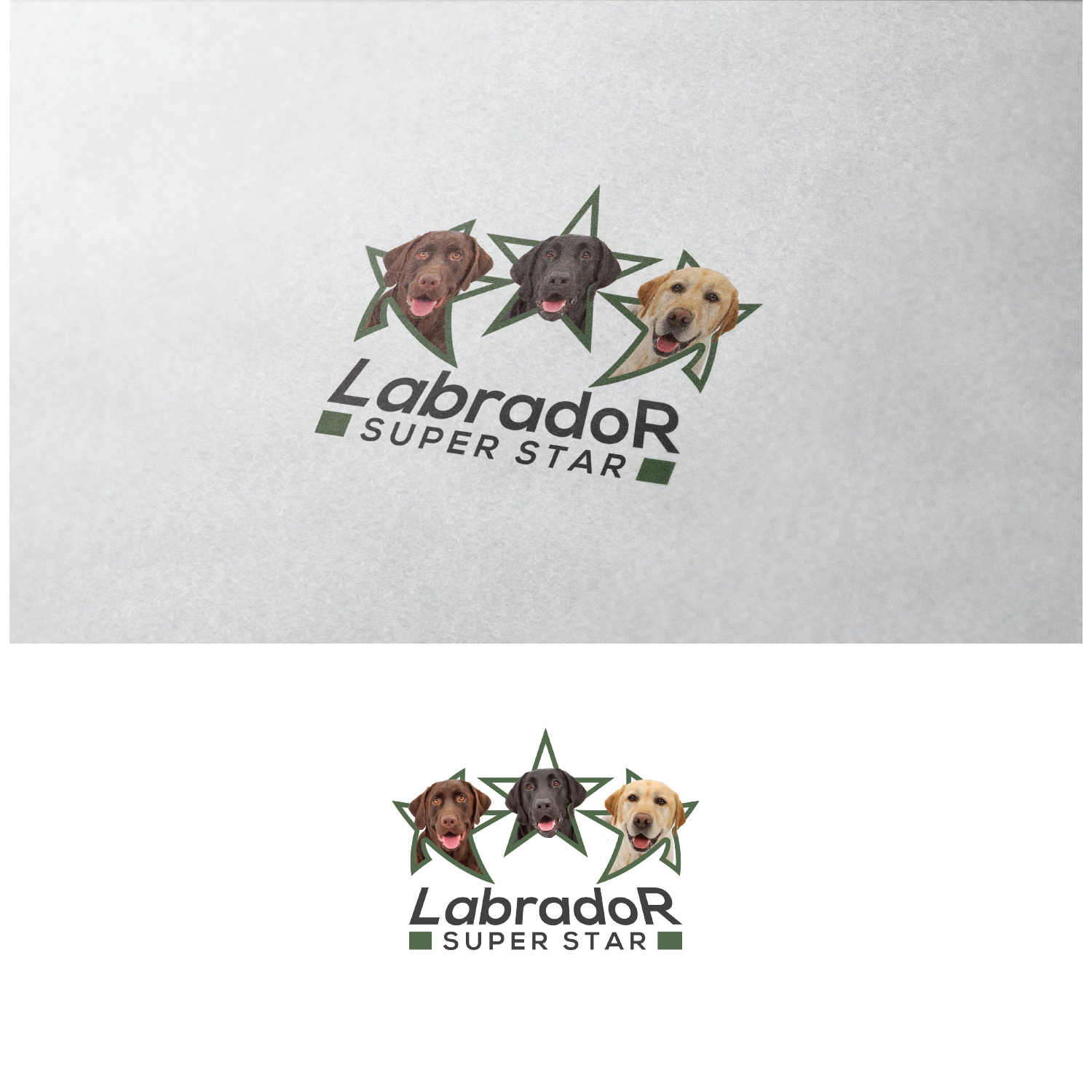 Diseño de Logo por BRAT Studio para Nicolas Piot | Diseño #16701342