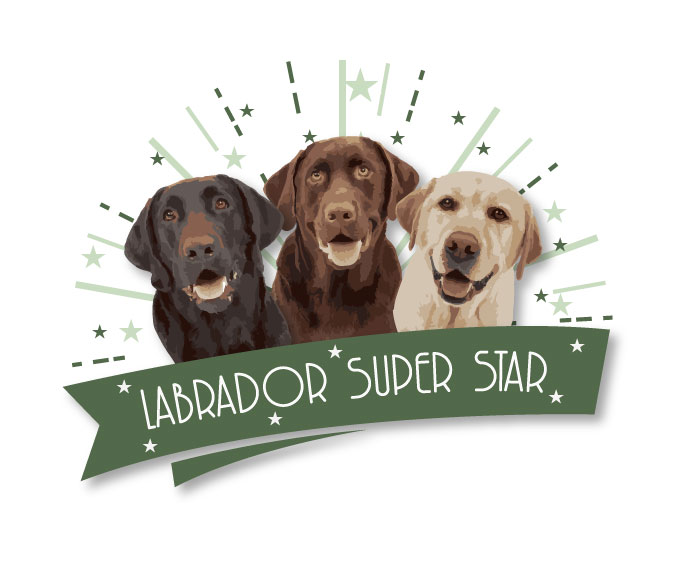 Logo Design by XLamm for Nicolas Piot | Design #16700230