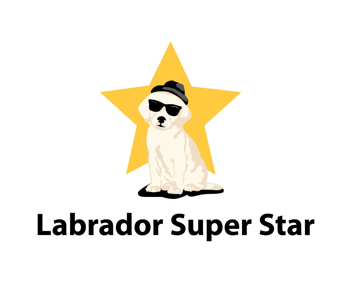 Logo Design by bc21 for Nicolas Piot | Design #16701987