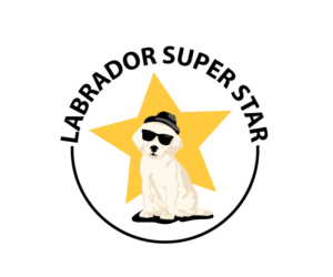 Logo Design by bc21 for Nicolas Piot | Design: #16701988