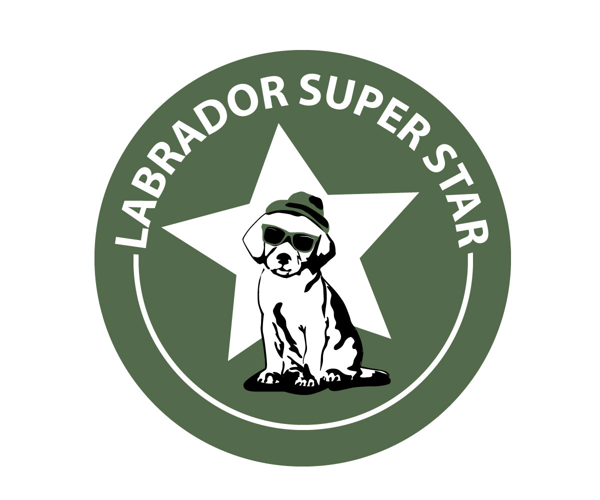 Logo Design by bc21 for Nicolas Piot | Design #16701989