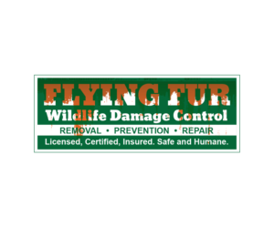 Logo Design by Cleanimal Design for this project | Design #16680414