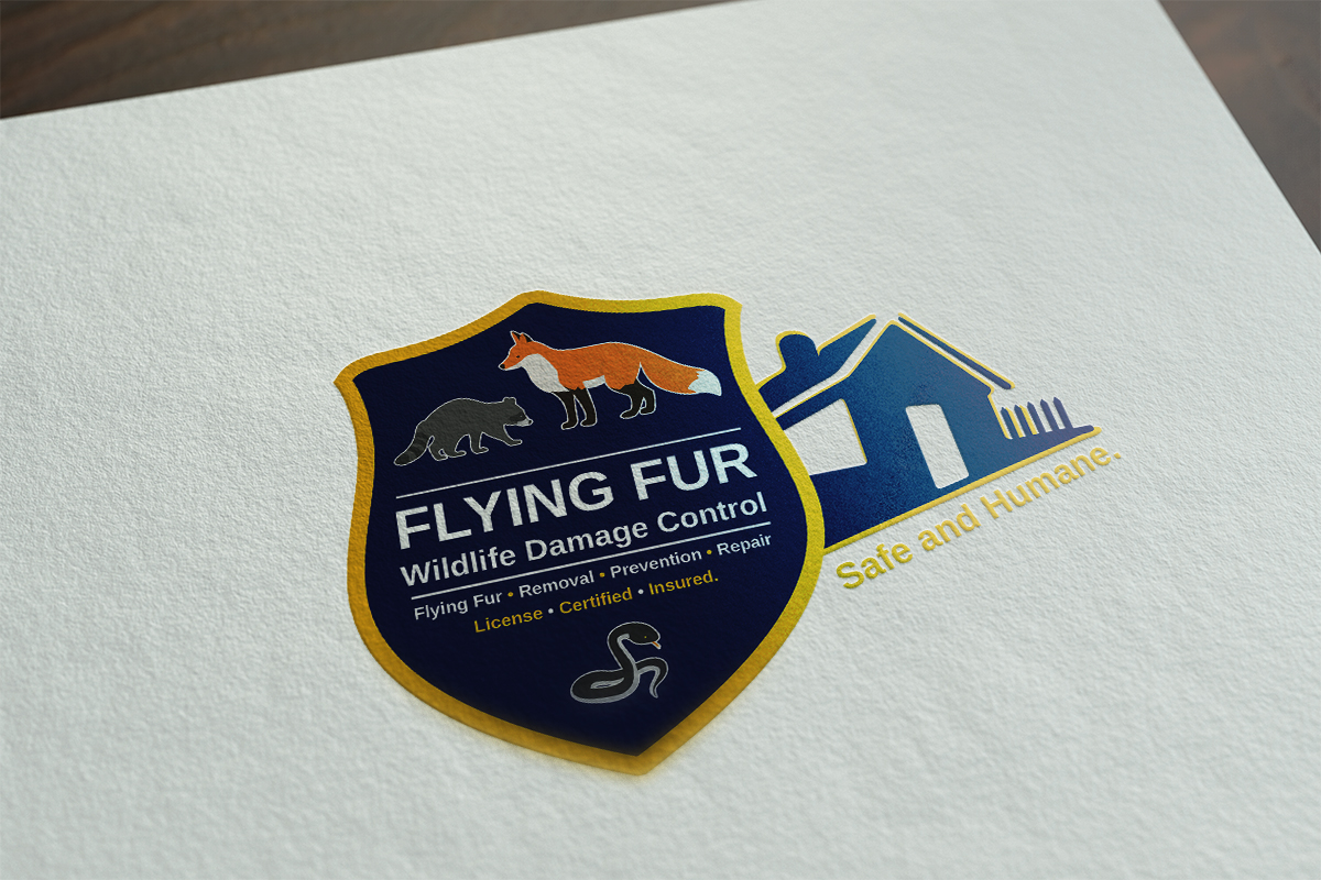 Logo Design by Cleanimal Design for this project | Design #16684064