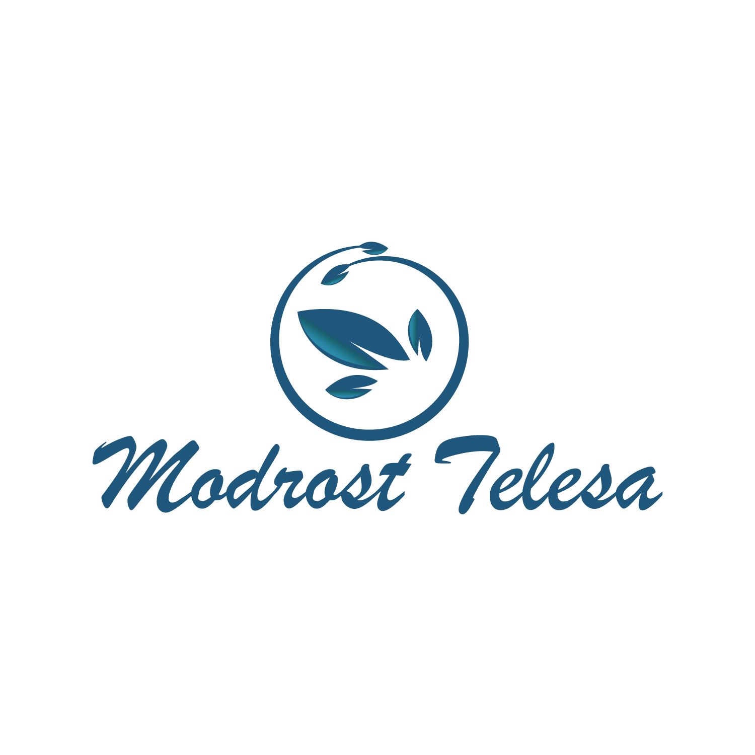 Logo Design by Costea Dan for this project | Design #17009835