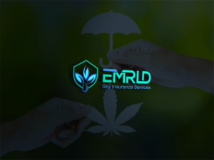 Diseño de Logo por Deziners Zone para Skyfront Insurance | Diseño: #16711747