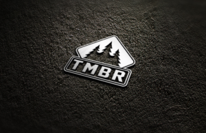 Logo Design by MD Alamgir Hussain for this project | Design: #16843425